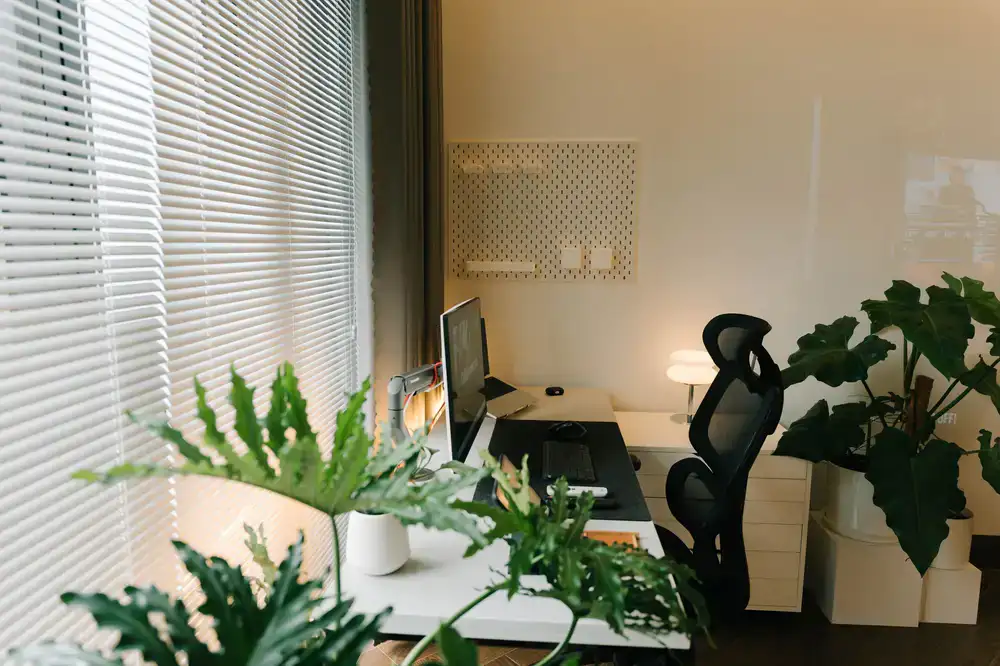 Minimalist desk plant setup in a modern agency