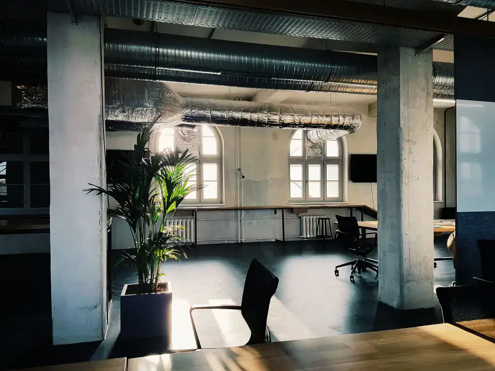 Bright modern office space with large architectural plants