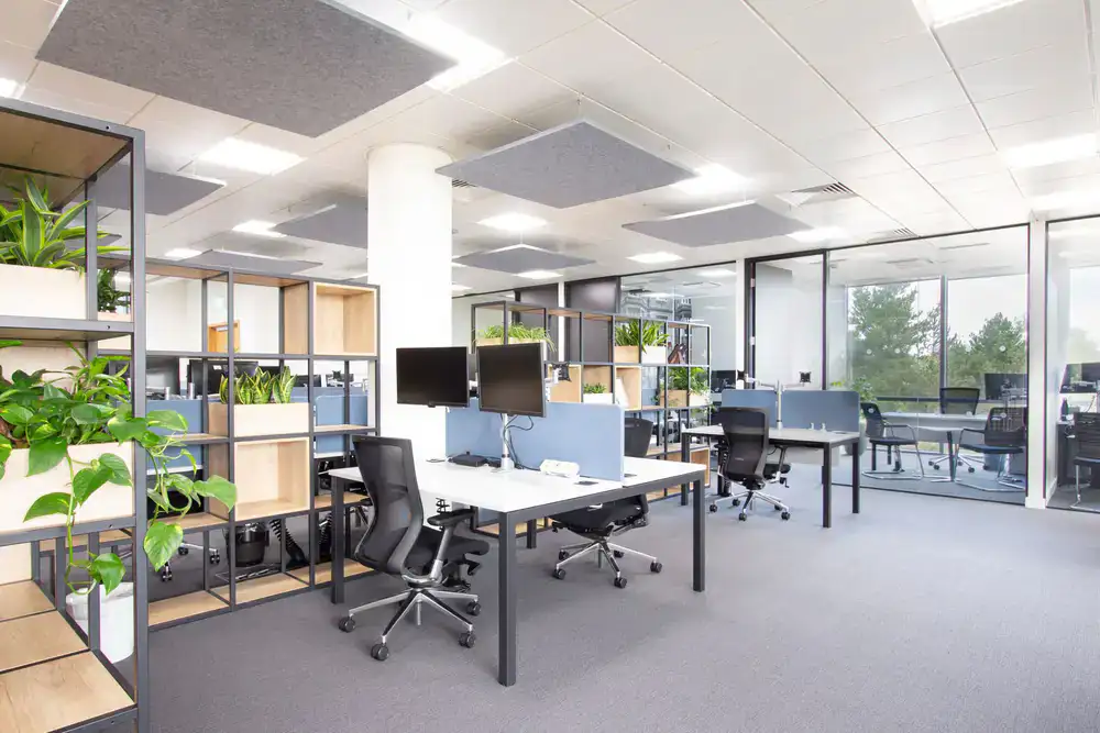 Bright modern office space filled with large potted floor plants and desk greenery