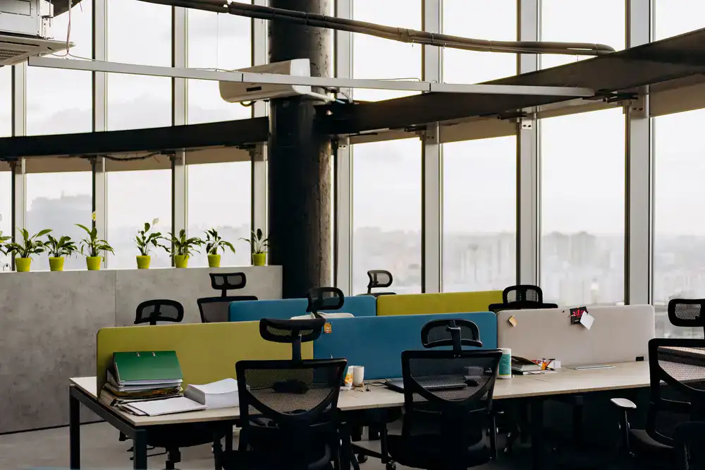 Bright, modern office featuring lush rental plants positioned strategically around workstations