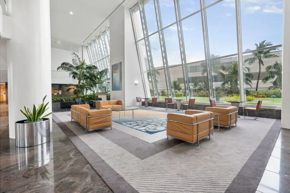 Large statement floor plant positioned in a bright corporate reception area