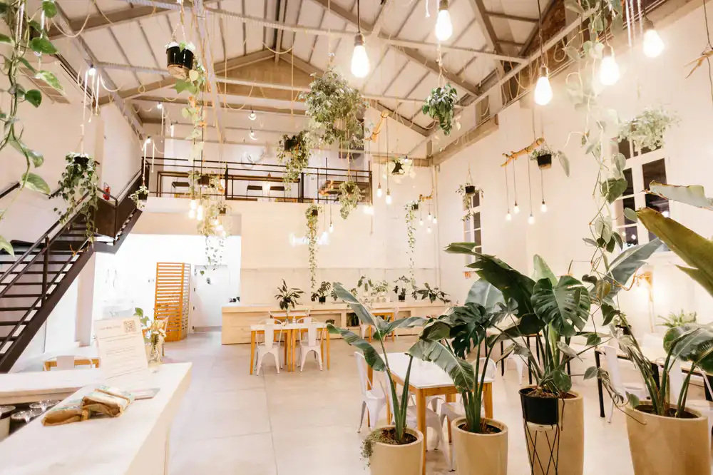 Cozy cafe interior with hanging trailing plants and potted greenery dividing seating areas