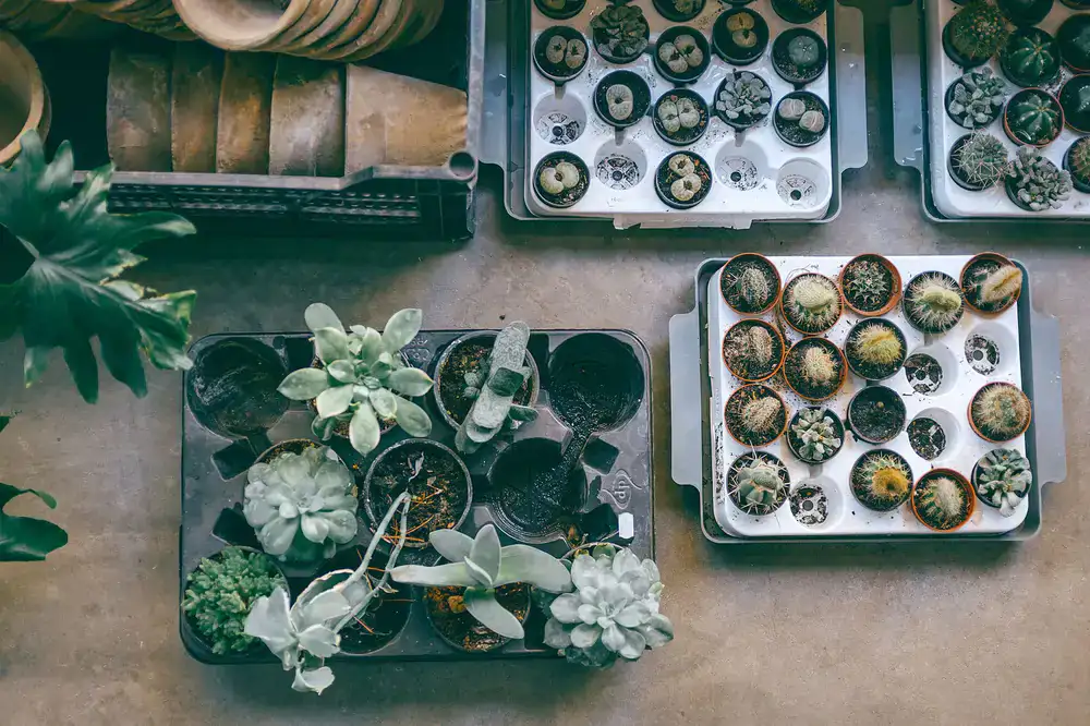 Assortment of stylish planters ready for installation